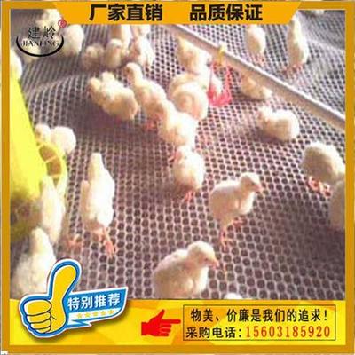 【家禽养殖用塑料网